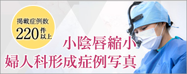 婦人科形成症例写真